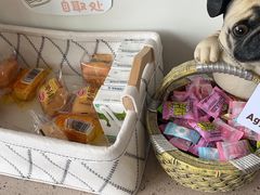-谐和贝康宠物医院24小时·宠保定点(急重症转诊中心)