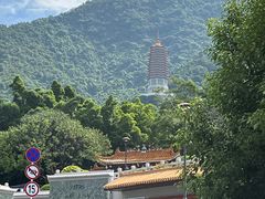-深圳仙湖植物园