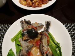 -博悦茶餐厅(文殊院店)