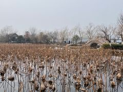 -云龙湖旅游景区
