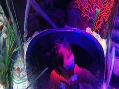 -沈阳海洋探索中心