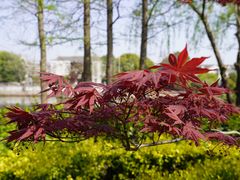 -南通濠河风景名胜区