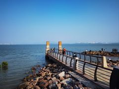 -深圳湾公园(南山区)