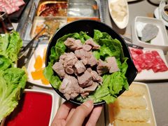 -海底捞火锅(青悦城店)