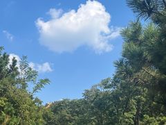 -羊汤研究所(茶苑海口路店)
