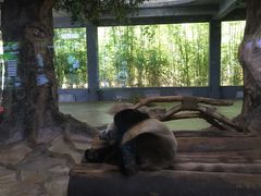 -海南热带野生动植物园