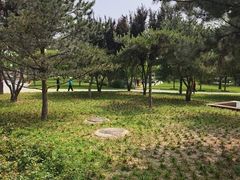 -西海子公园