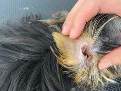 -comecome来吧宠物(奥克斯中心店)