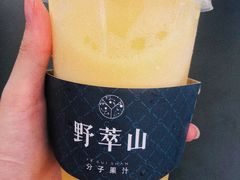 -野萃山·潮汕厚果汁(十亩地店)
