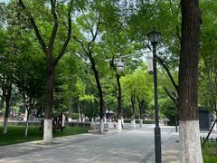 -莲湖公园