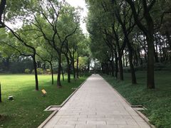 -宋庆龄陵园