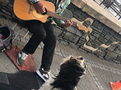 -Patagonia Chocolates(皇后镇店)