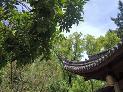 -天一阁博物院