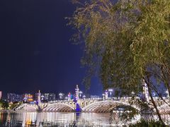 -兴盛大桥