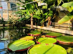 -国家植物园南园