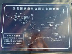 -五营红松林海景区