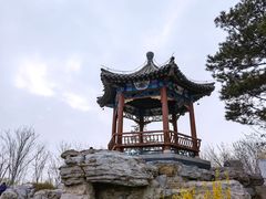 -大兴滨河森林公园