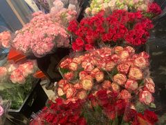 -循礼门鲜花花市(武汉循礼门店)