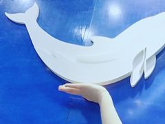 -港珠澳大桥码头