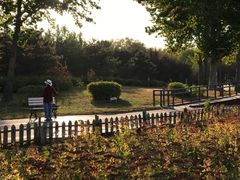 -回龙观体育文化公园