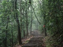 -西湖风景区十里琅珰-五云山