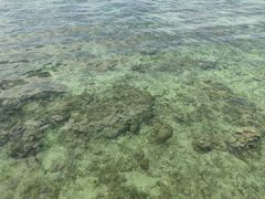 -三亚西岛海洋文化旅游区