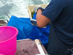 -日照世帆赛基地