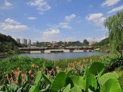 -重庆彩云湖湿地公园