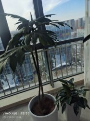 -HEYAN荷妍专业脱毛连锁机构