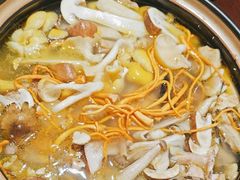 -菌之家·专业纯野生菌火锅·特色炒菌