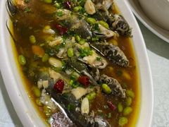 -呼吸森林·生态农庄农家乐私房菜