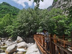 -青峰峡国家森林公园