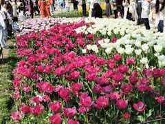 -苏州上方山国家森林公园