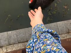 -江南大学(蠡湖校区)