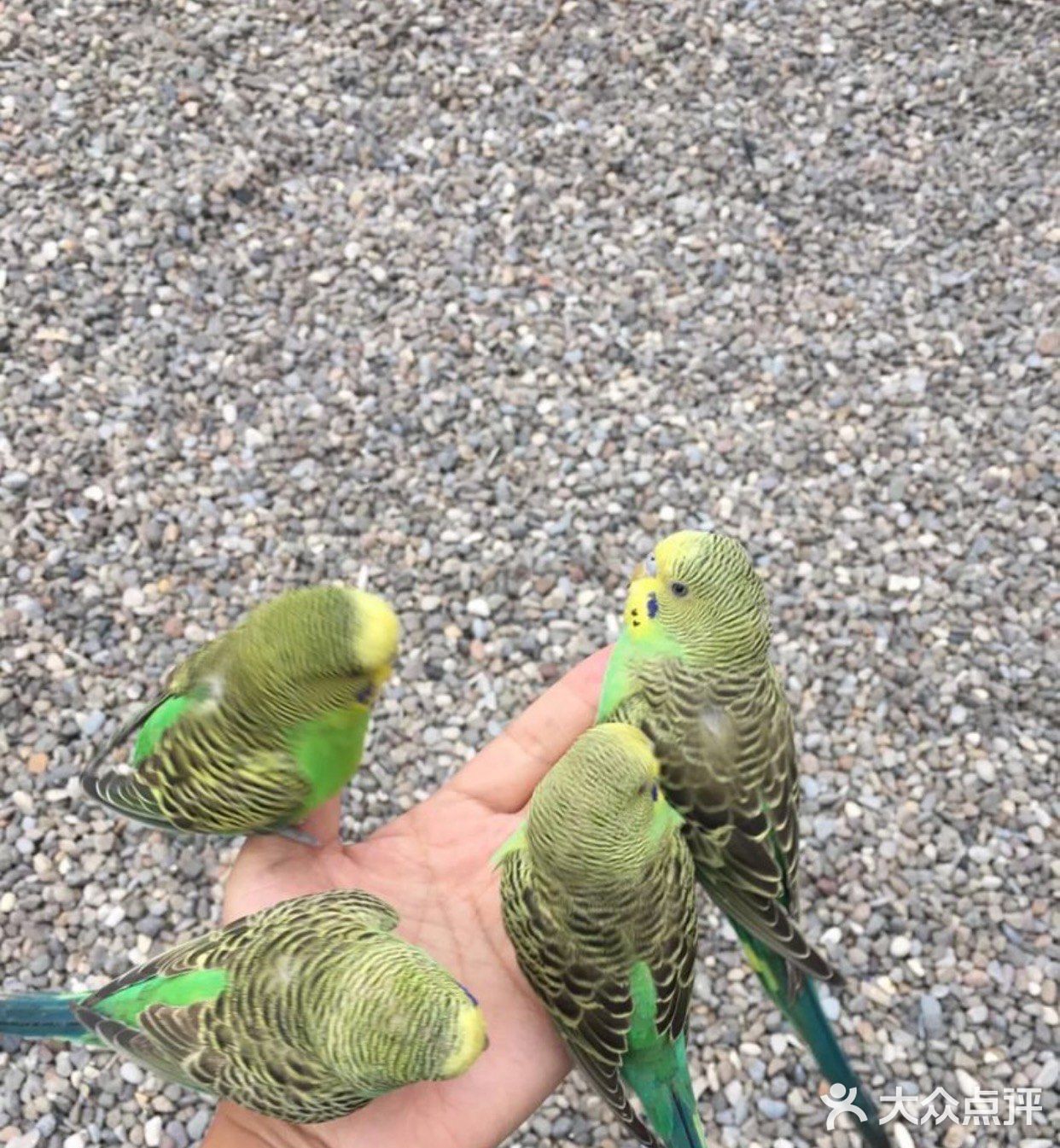 春天溜娃的森林圣地，蓝可可亲子乐园