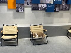 -伟伟宠物医院·CT影像中心·瑞派犬猫综合性门诊(汉口总院)