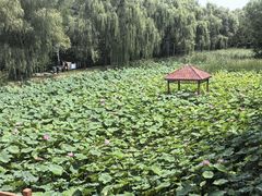 -潇湘甲鱼村(清河店)