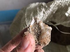 -居丽装饰空间设计(总部)
