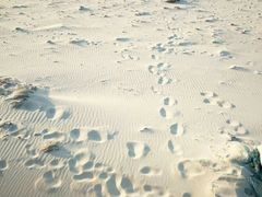 -那香海钻石沙滩浴场