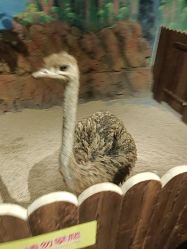 -长沙云顶星河游乐园(步步高·梅溪新天地店)