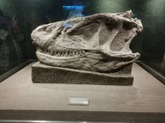 -自贡恐龙博物馆