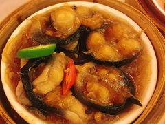 豆汁蒸河鳗-晋江荣誉国际酒店·港誉茶餐厅