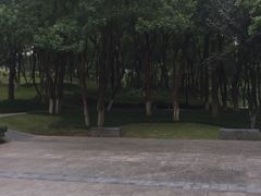 -重庆市江北嘴中央商务区中央公园