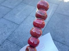 -糖葫芦王保定名吃(古莲花池店)