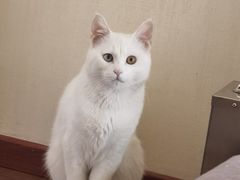 -悦宠凯宝动物医院·牙科·皮肤科(朝阳北路店)