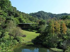 -云溪植物园