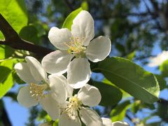 -南京金牛湖风景区
