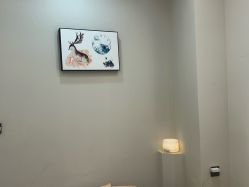 -skin79皮肤管理中心