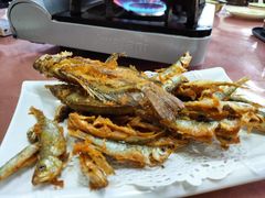 -迈臣农家乐