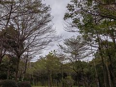-聚龙山公园
